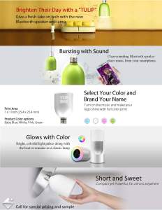 IdolMemory_DF-flyer_Tulip_2016Q1